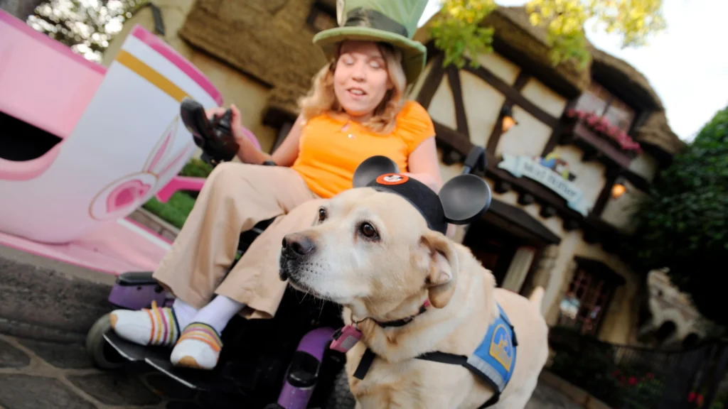 Do Hotels Have to Accommodate Service Dogs?